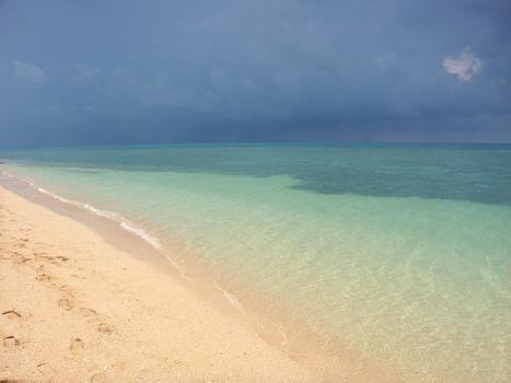 Beach on the Low Isles in tropical Queensland, Australia.