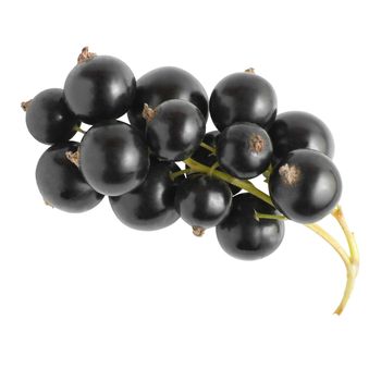 Cluster of fresh black currant isolated on white background
