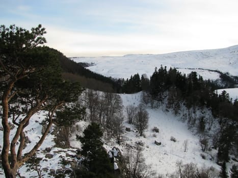 Winter, plateau, mountains, a kind, a panorama, a landscape, the nature, a landscape, snow, wood, the Alpine meadows, a relief, caucasus, beauty, a background, reserve, a slope, flora, a ridge, clouds, the sky, a pine