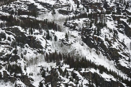 Snow covering steep mountainside with trees.