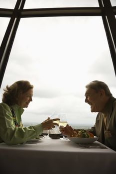 Caucasian mature couple at nice restaurant drinking wine and talking and laughing.