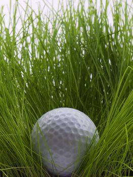 Golf ball sitting in tall grass