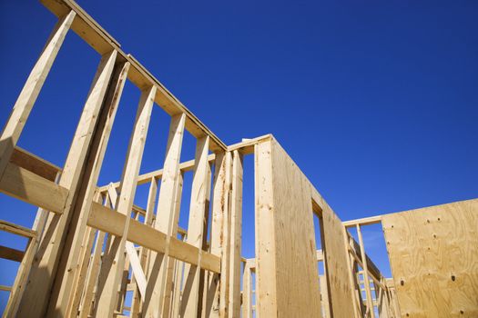 Wooden framework of new construction with blue sky in background.