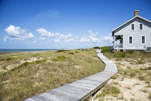 Beachfront house with wooden walkway.