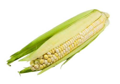 Fresh corn isolated on white background