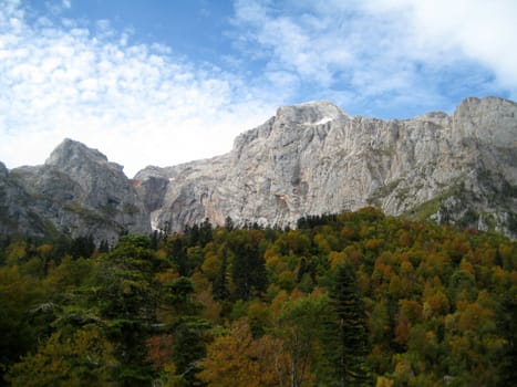 Mountains, caucasus, rocks, a relief, a landscape, wood, the nature, a panorama, a landscape, a ridge, top, breed, the sky, reserve, a pattern, a background, a kind, a structure, trees, a slope, peak, beauty, bright, a file, clouds