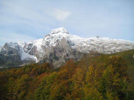 Mountains, caucasus, rocks, a relief, a landscape, wood, the nature, a panorama, a landscape, a ridge, top, breed, the sky, reserve, a pattern, a background, a kind, a structure, trees, a slope, peak, beauty, bright, a file, clouds, snow, a glacier, greens, autumn