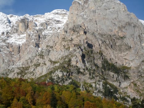 Mountains, caucasus, rocks, a relief, a landscape, wood, the nature, a panorama, a landscape, a ridge, top, breed, the sky, reserve, a pattern, a background, a kind, a structure, trees, a slope, peak, beauty, bright, a file, clouds, snow, a glacier, greens, autumn