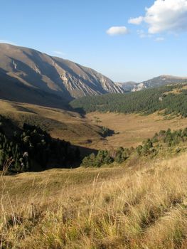 Mountains, caucasus, rocks, a relief, a landscape, wood, the nature, a panorama, a landscape, a ridge, top, breed, the sky, reserve, a background, a kind, a structure, trees, a slope, a grass, beauty, bright, a file, clouds, pass, gorge, a canyon