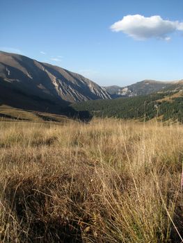 Mountains, caucasus, rocks, a relief, a landscape, wood, the nature, a panorama, a landscape, a ridge, top, breed, the sky, reserve, a background, a kind, a structure, trees, a slope, beauty, bright, a file, clouds, a grass, the Alpine meadows, tourism, travel, rest, gorge, a canyon