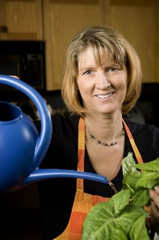 Woman in Kitchen Watering Wearing Apron a Plant