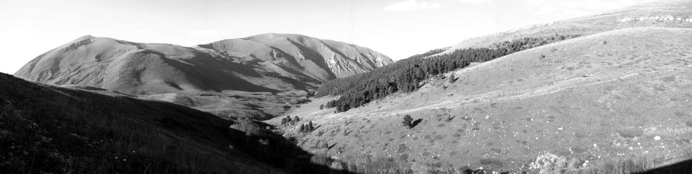 Mountains, caucasus, rocks, a relief, a landscape, wood, the nature, a panorama, a landscape, a ridge, top, breed, the sky, reserve, a background, a kind, a structure, trees, a slope, beauty, black-and-white, a file, a canyon, pass, a channel, a source, the river, hills, tourism, travel, rest