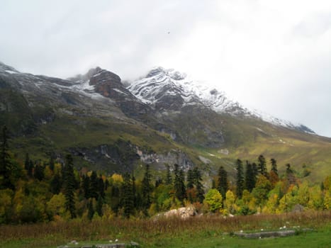 Mountains, caucasus, rocks, a relief, a landscape, wood, the nature, a panorama, a landscape, a ridge, top, breed, the sky, reserve, a background, a kind, a structure, trees, a slope, beauty, clouds, a file, pass, a hill, tourism, travel, rest, snow, a glade