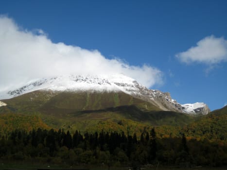 Mountains, caucasus, rocks, a relief, a landscape, wood, the nature, a panorama, a landscape, a ridge, top, breed, the sky, reserve, a background, a kind, a structure, trees, a slope, beauty, clouds, a file, pass, a hill, tourism, travel, rest, snow