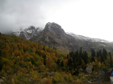 Mountains, caucasus, rocks, a relief, a landscape, wood, the nature, a panorama, a landscape, a ridge, top, breed, the sky, reserve, a background, a kind, a structure, trees, a slope, beauty, clouds, a file, pass, a hill, tourism, travel, rest, snow