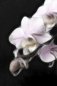 An artistic impression of a minature orchid spray.