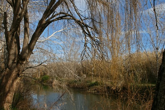 Clot de la Mare de Deu - Burriana. Natural pond