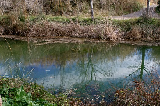 Clot de la Mare de Deu - Burriana. Natural pond