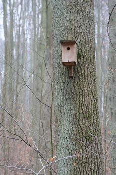 Nestbox for birds in forest