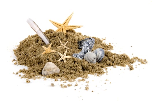 sand with shelves and seastars