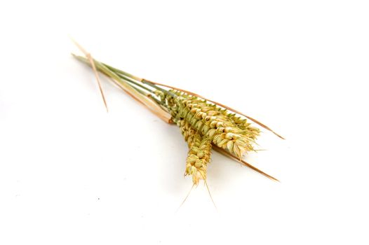 grain on a white background