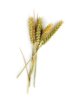 grain on a white background