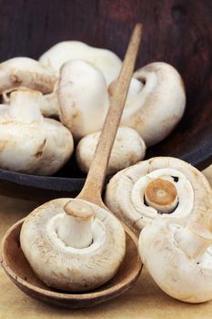 Wooden spoon with large button mushrooms. Shallow DOF.
