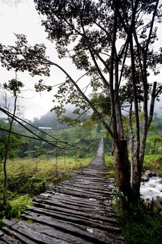 A scary hanging bridge in a tropical landscape