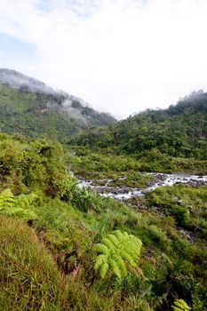 A stream winds through tropical mountains