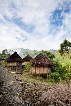 A traditional mountain village in Papua, Indonesia.