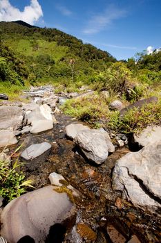 A rapid flowing stream in tropical mountains