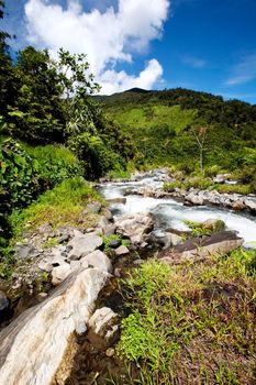 A rapid flowing stream in tropical mountains