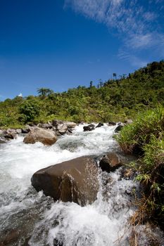 A rapid flowing stream in tropical mountains