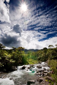 A rapid flowing stream in tropical mountains