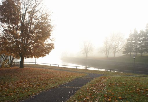A beautiful foggy morning at a local park, near the river bend.