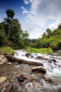 A mountain streem in a tropical forest