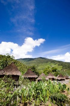 A traditional village in Papua, Indonesia