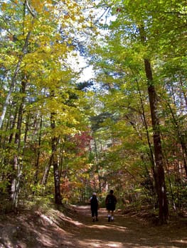 Tallulah Gorge State Park in Georgia, USA