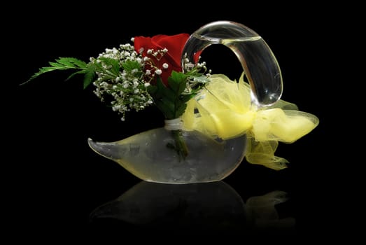 A single red rose in a glass swan, isolated on a black background with a reflection