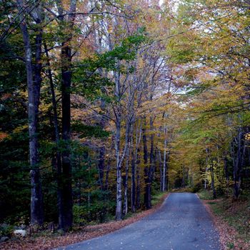 Small town of Ludlow Vermont during foliage season