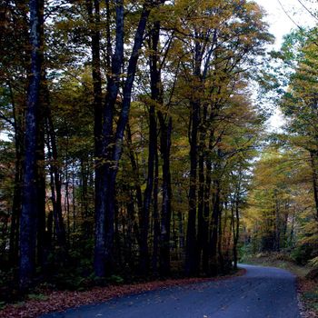 Small town of Ludlow Vermont during foliage season