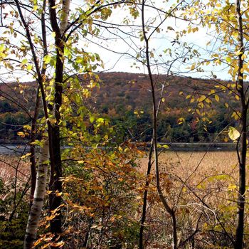 Small town of Ludlow Vermont during foliage season