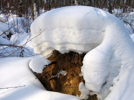 Large snowdrift in forest after long snowfall