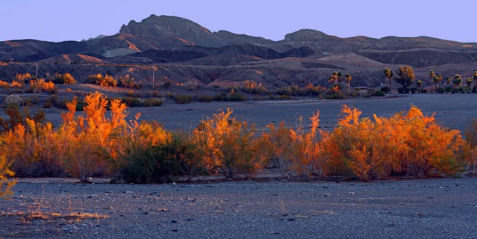 fall desert landscape