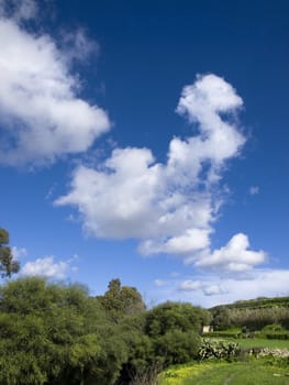 Beautiful Mediterranean countryside in Malta during late winter