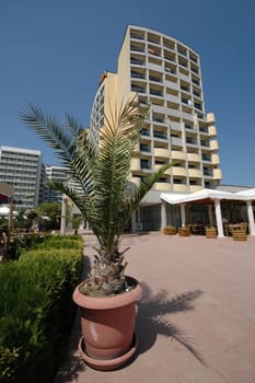 Hotel an plant. Cllear blue sky