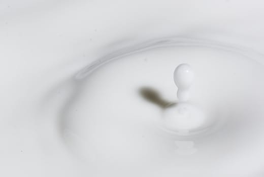 a drop splash of withe liquid or milk