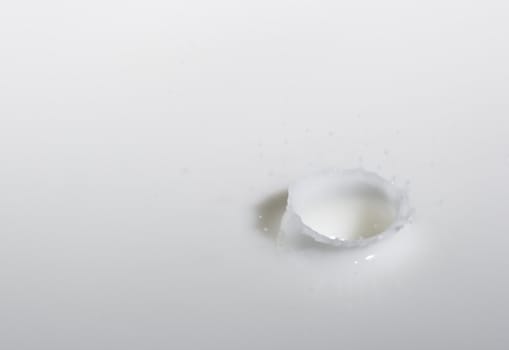 a drop splash of withe liquid or milk