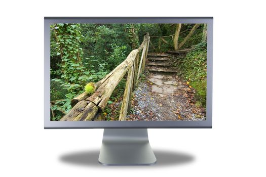 computer lcd or tft monitor with flat screen