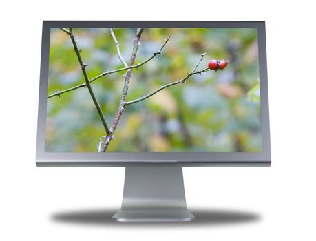 computer lcd or tft monitor with flat screen